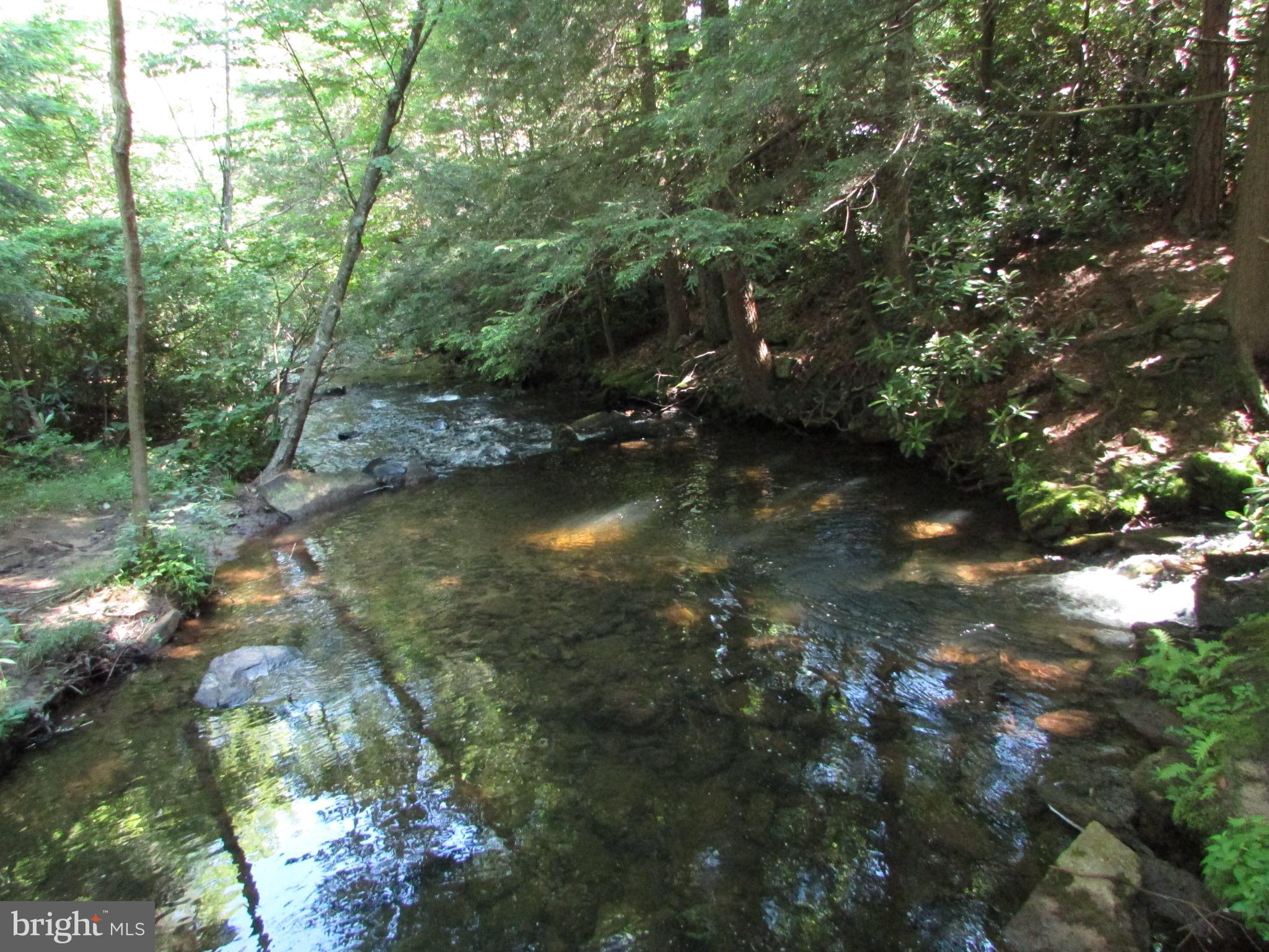 293 SNOW SHOE MOUNTAIN FOREST ROAD