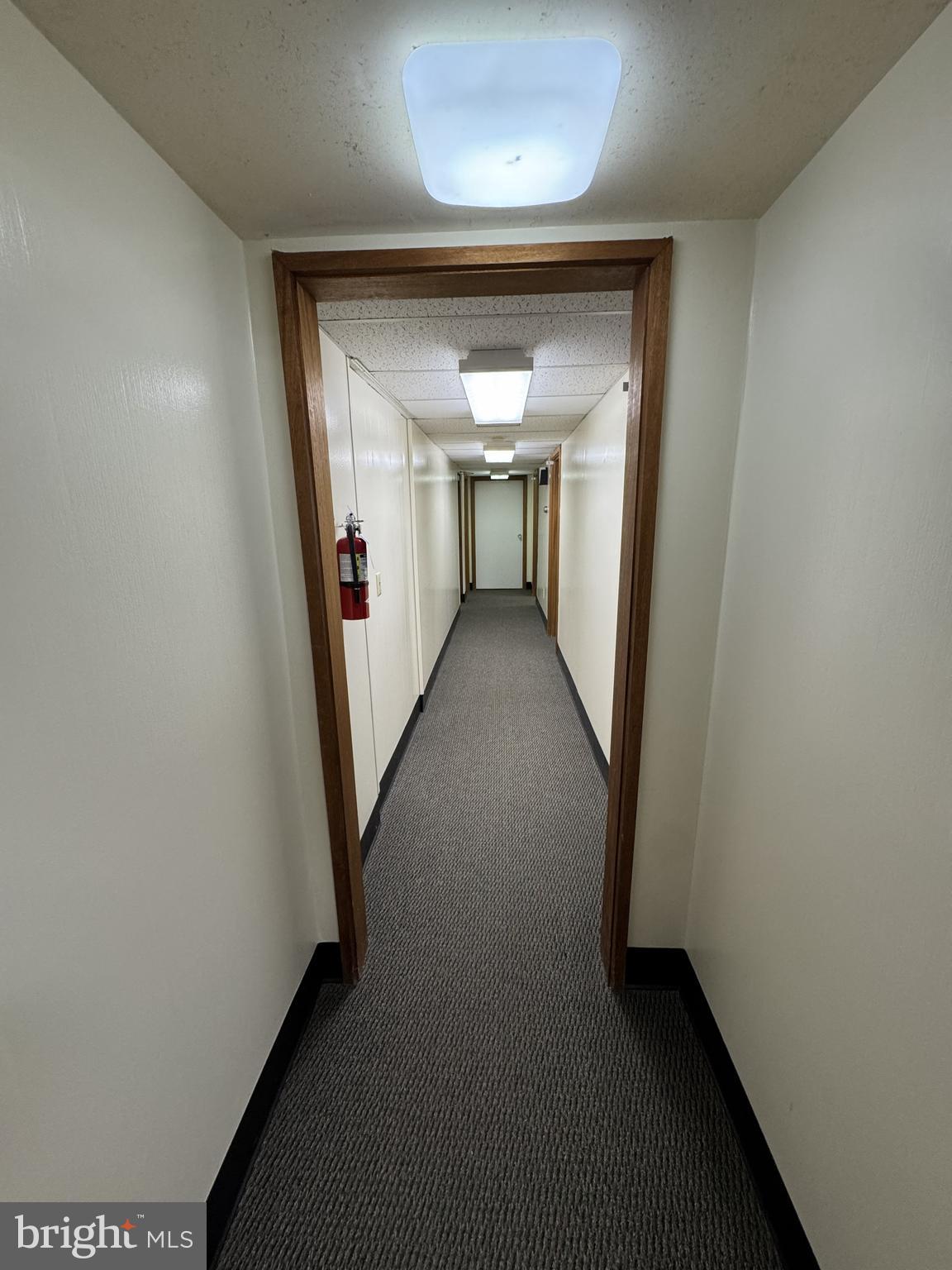 251 EASTERLY PARKWAY 203