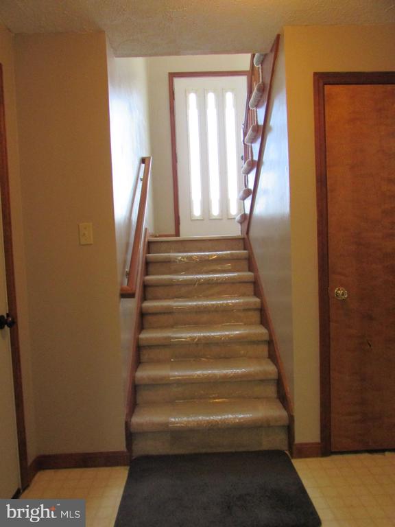 346 LUTZ LANE