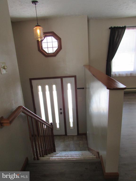 346 LUTZ LANE