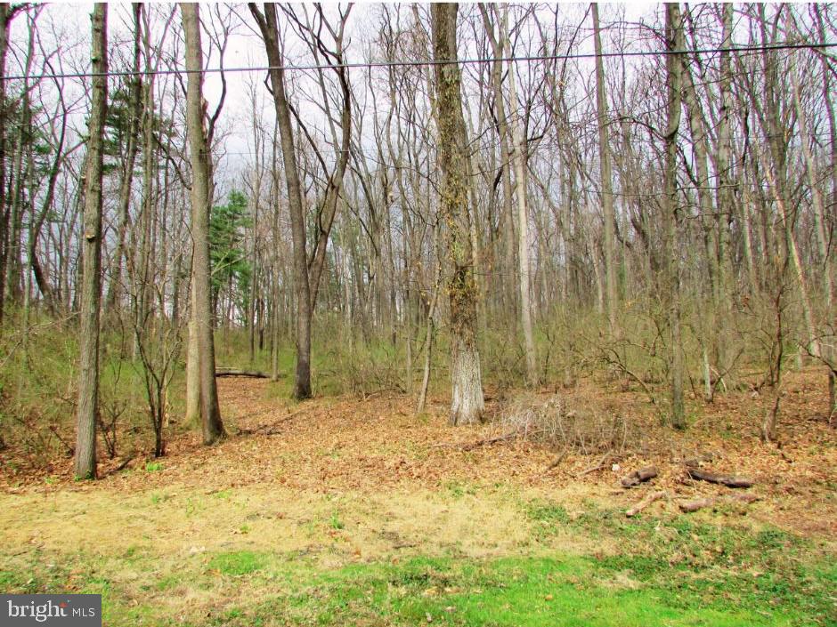 200 TALL OAKS DRIVE