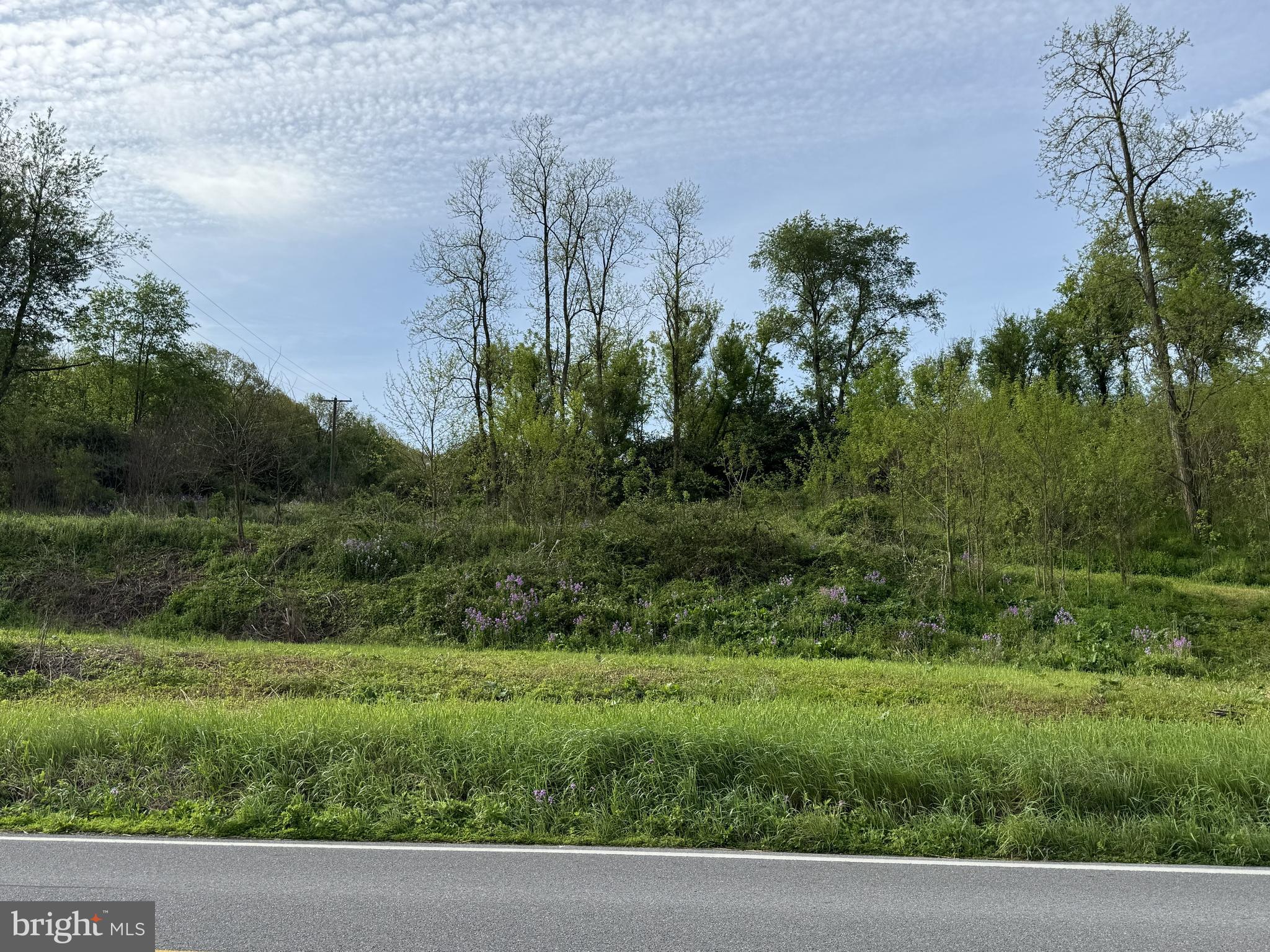 2781 BUFFALO RUN ROAD