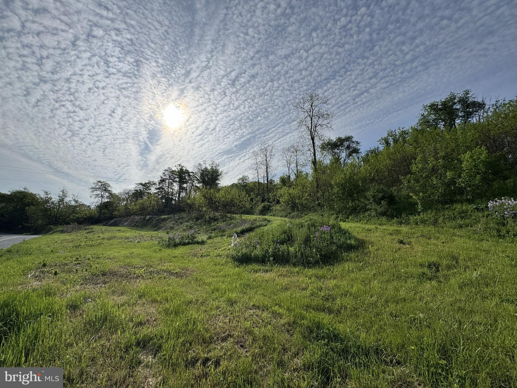 2781 BUFFALO RUN ROAD