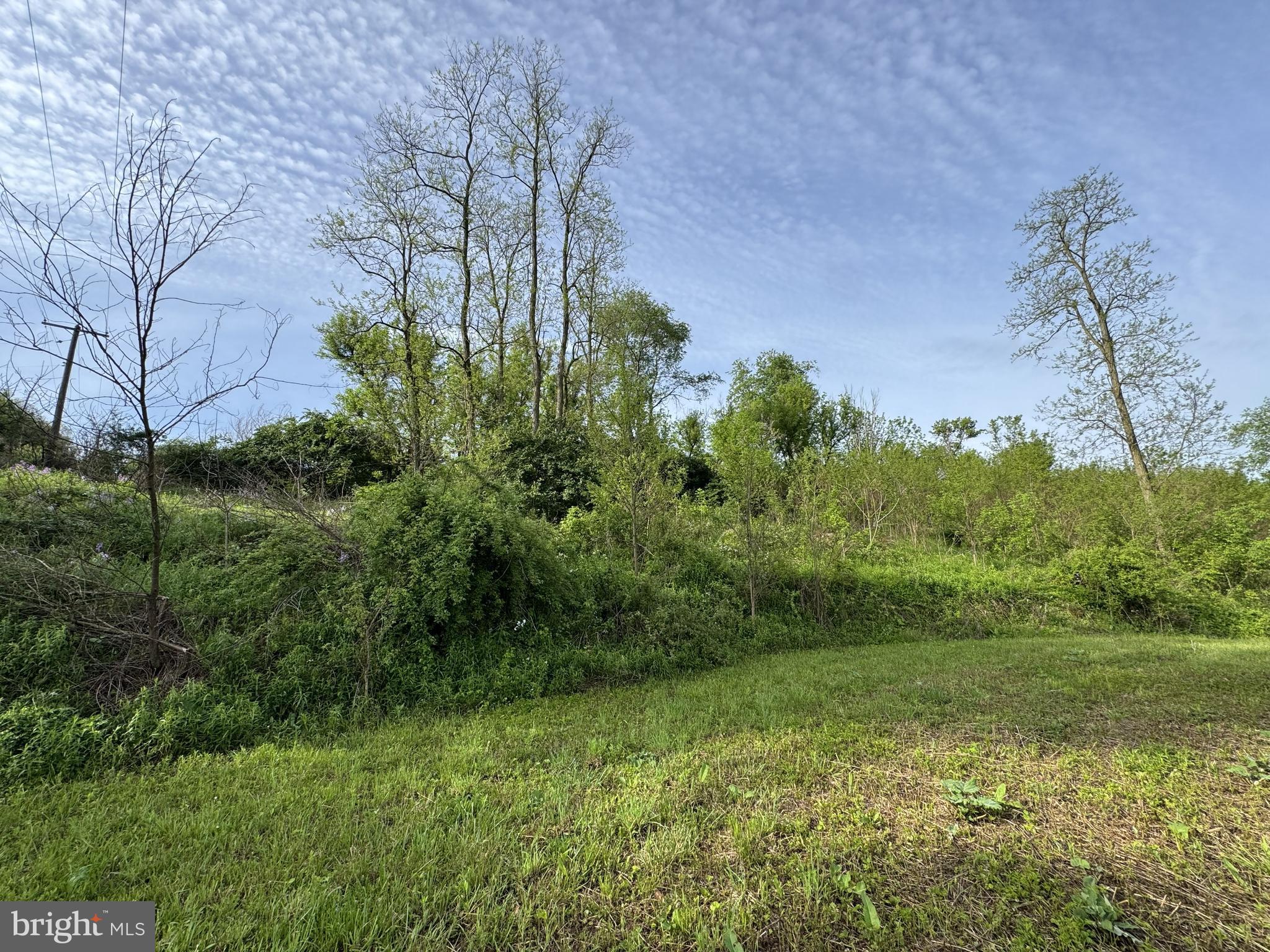 2781 BUFFALO RUN ROAD