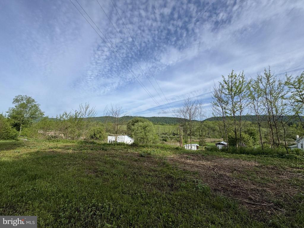 2781 BUFFALO RUN ROAD