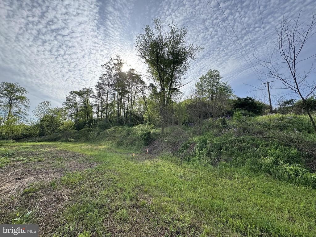 2781 BUFFALO RUN ROAD