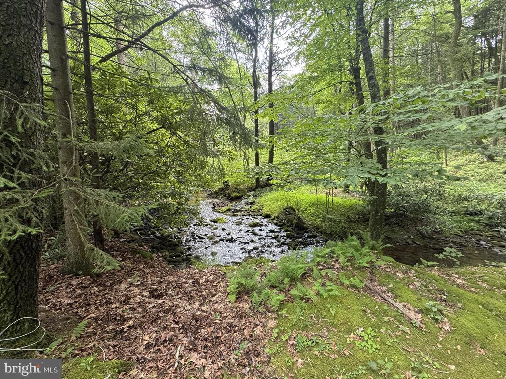 1006 BEAR MEADOWS ROAD