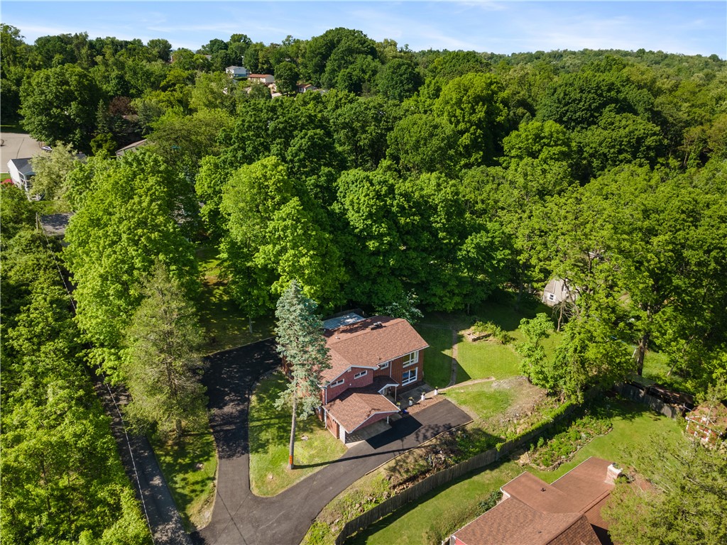 447 Hulton Road