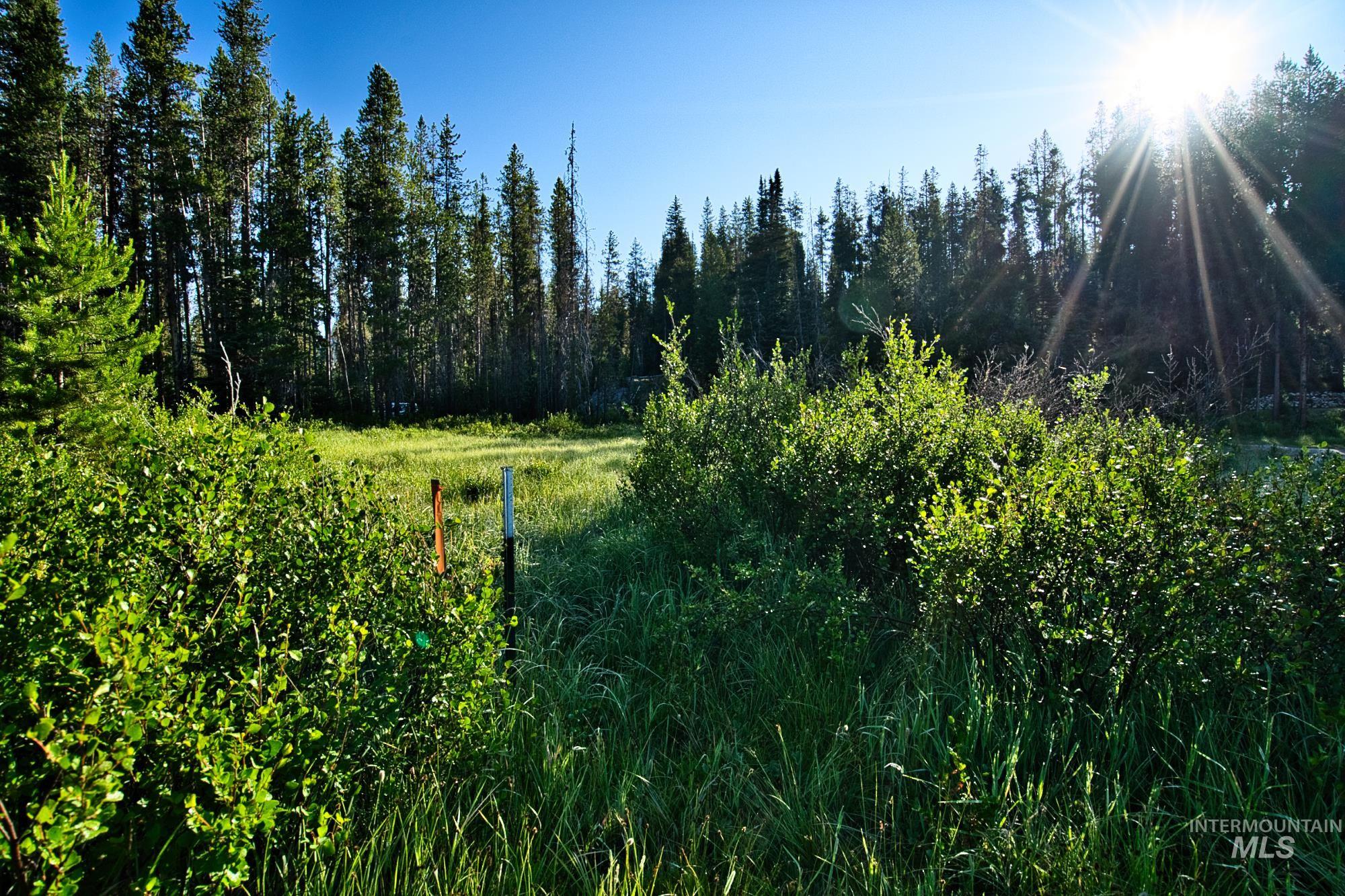 TBD Secesh River Rd.