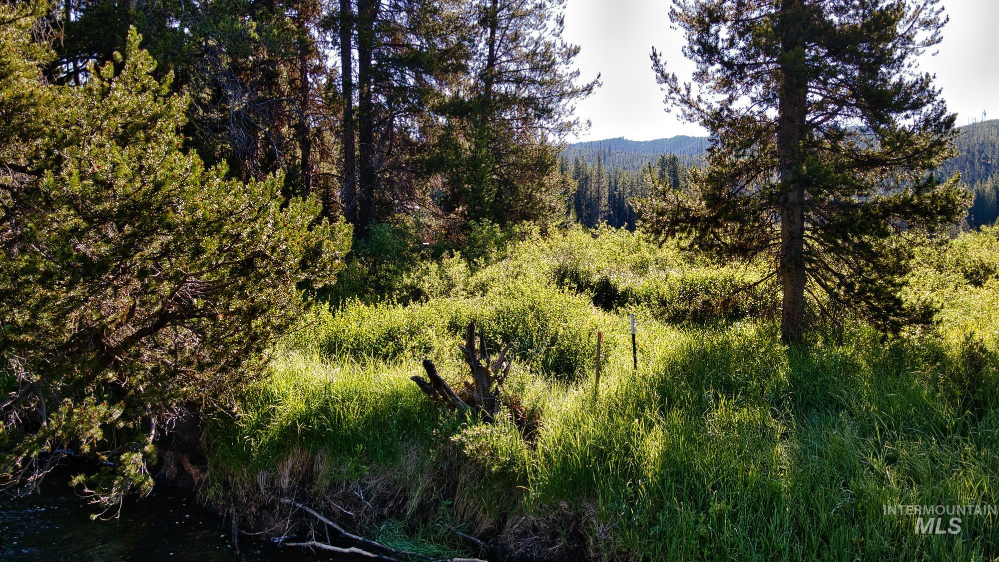 TBD Secesh River Rd.