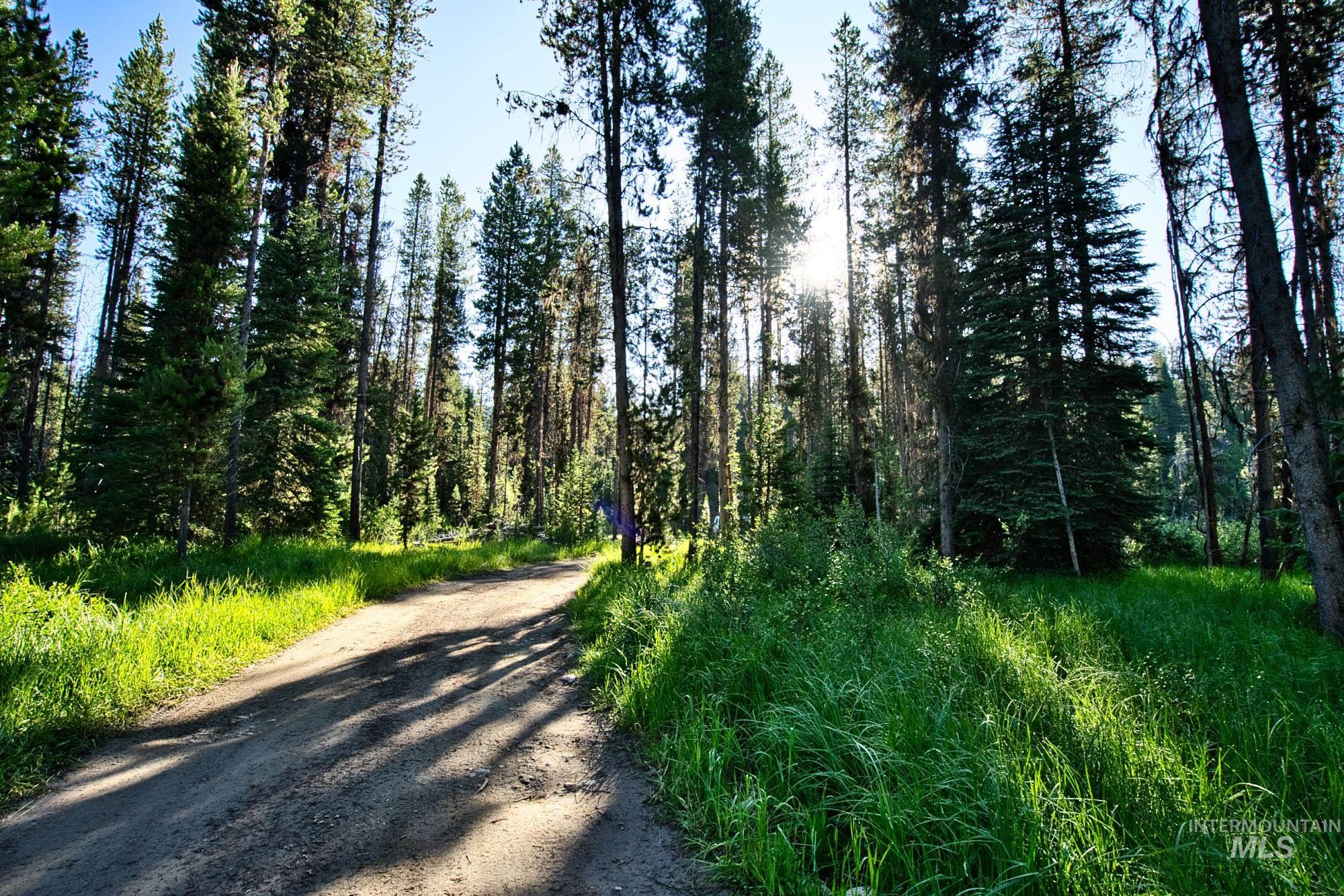 TBD Secesh River Rd.