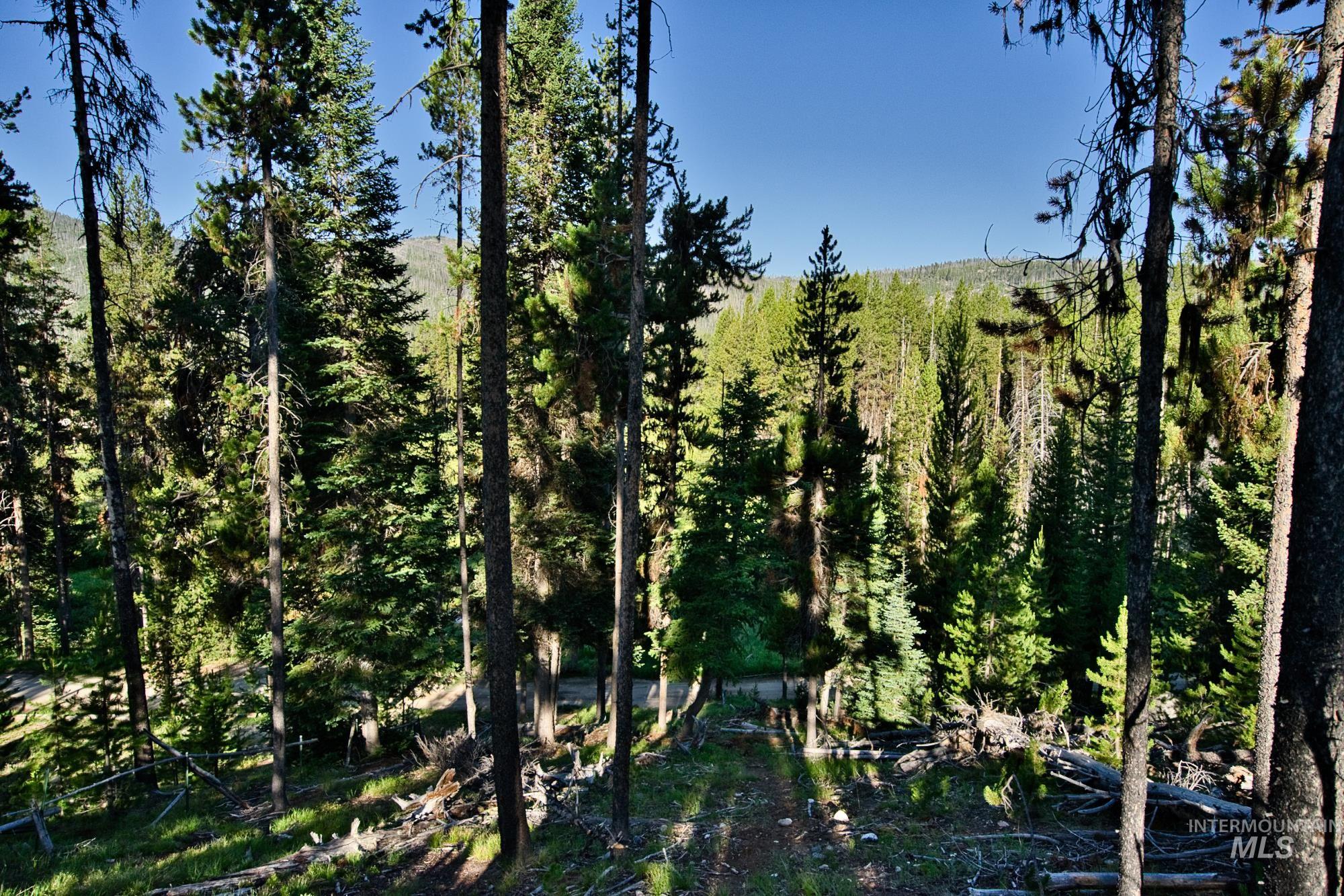 TBD Secesh River Rd.