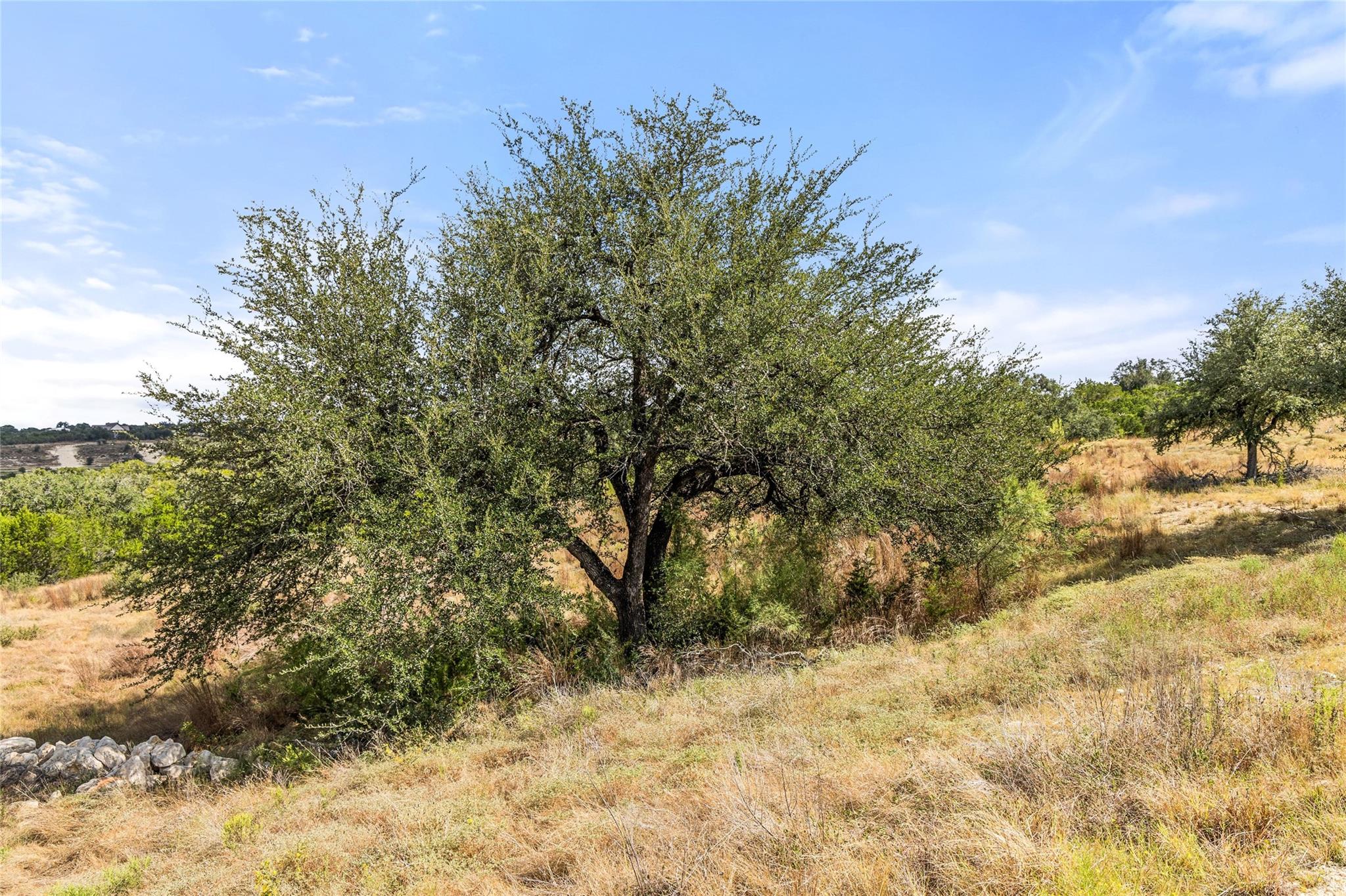 136 Legacy Hills DR
