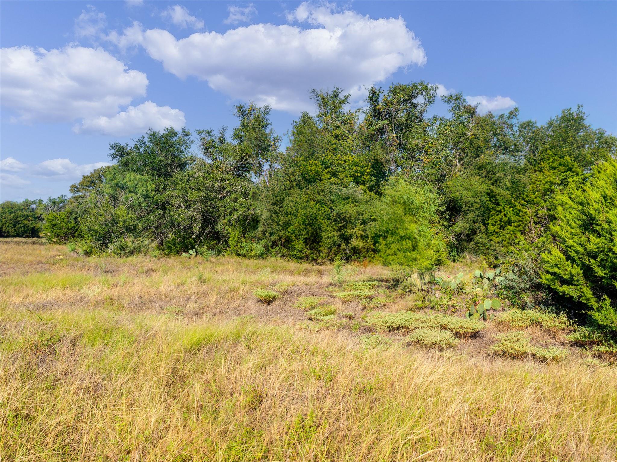 7994 US Highway 290