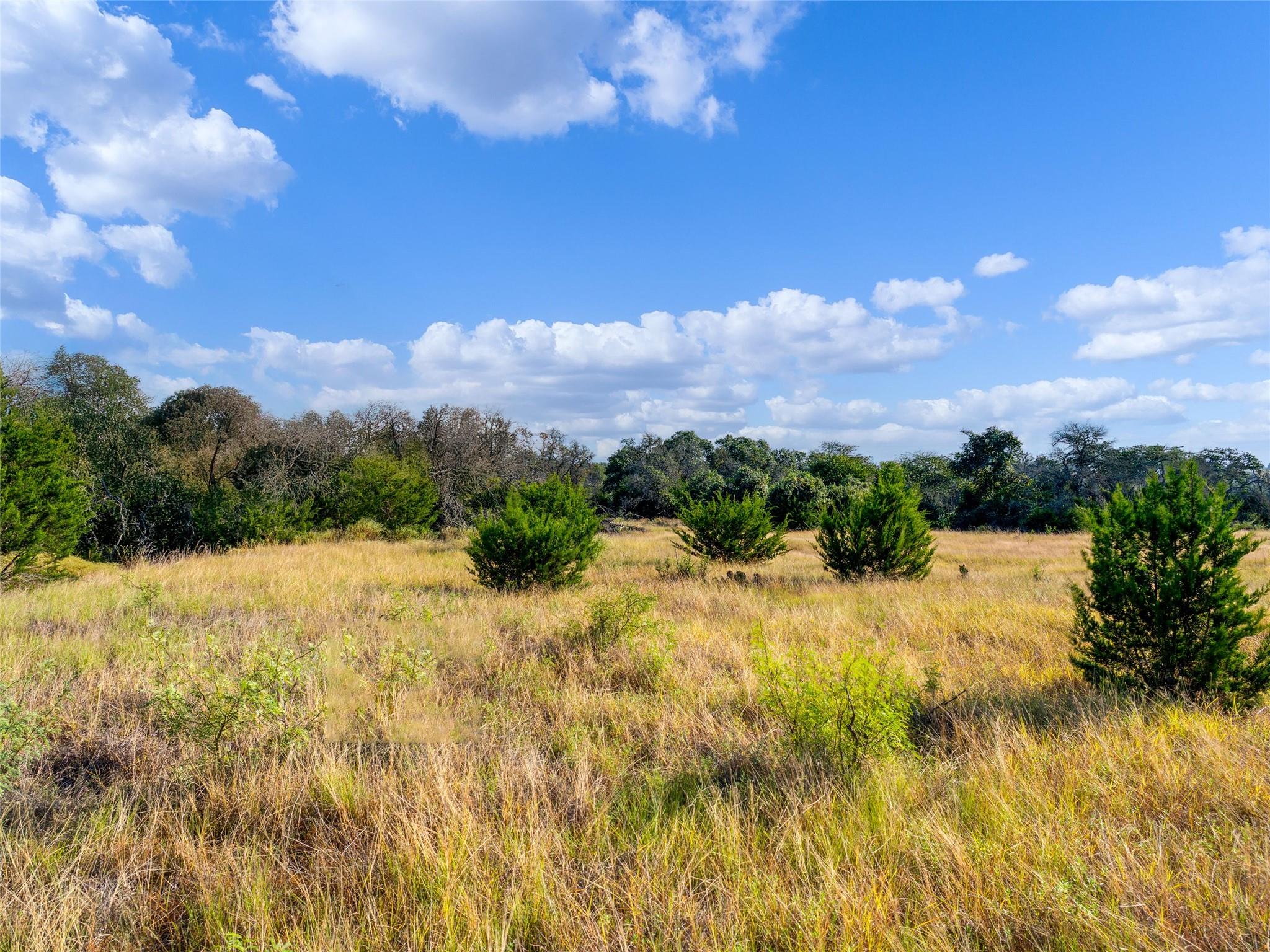 7994 US Highway 290