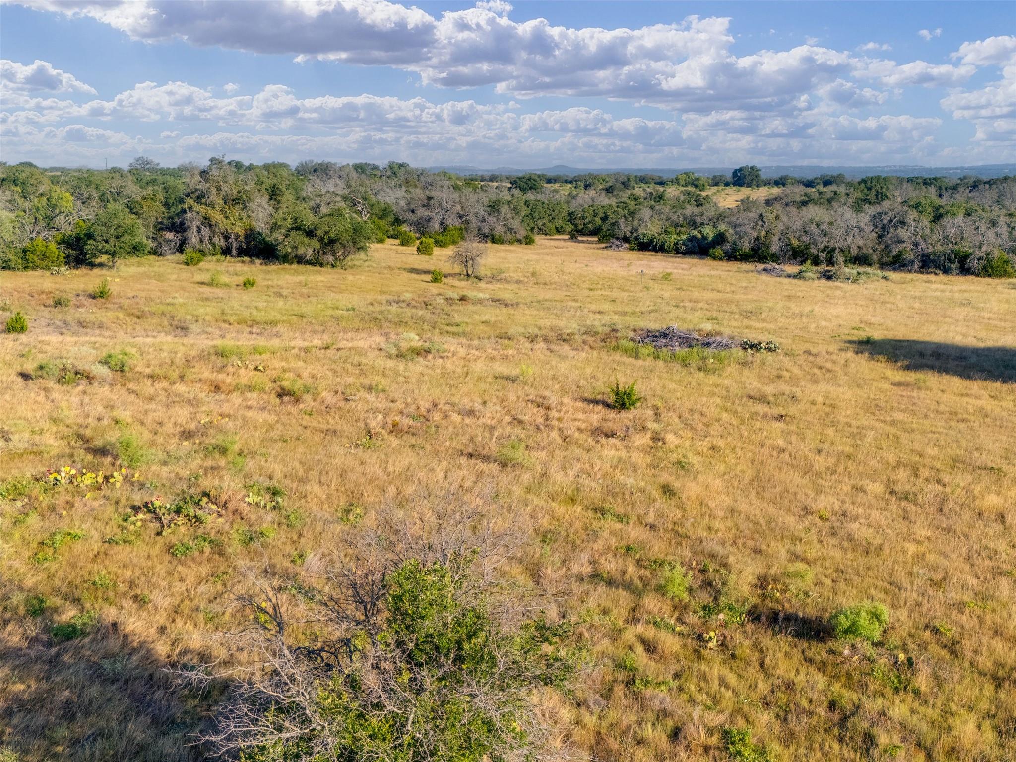 7994 US Highway 290