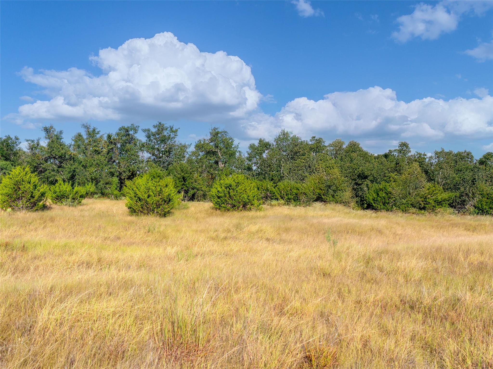 7994 US Highway 290
