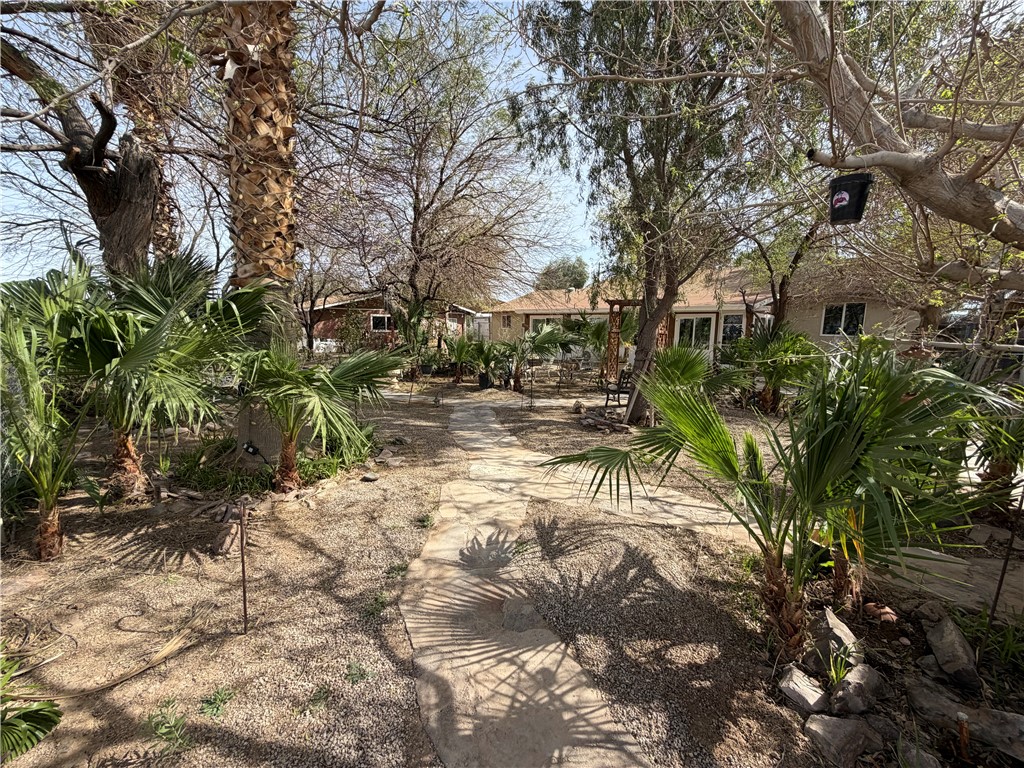 1985 E Laguna Road
