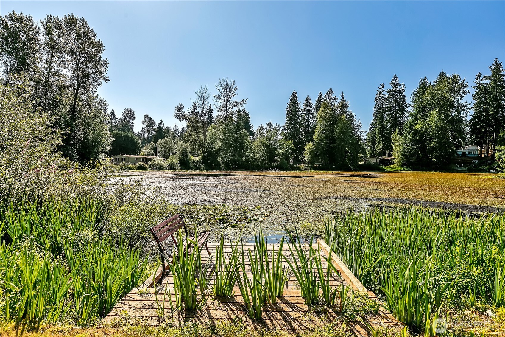 Expereince Bonney Lake Lifestyle