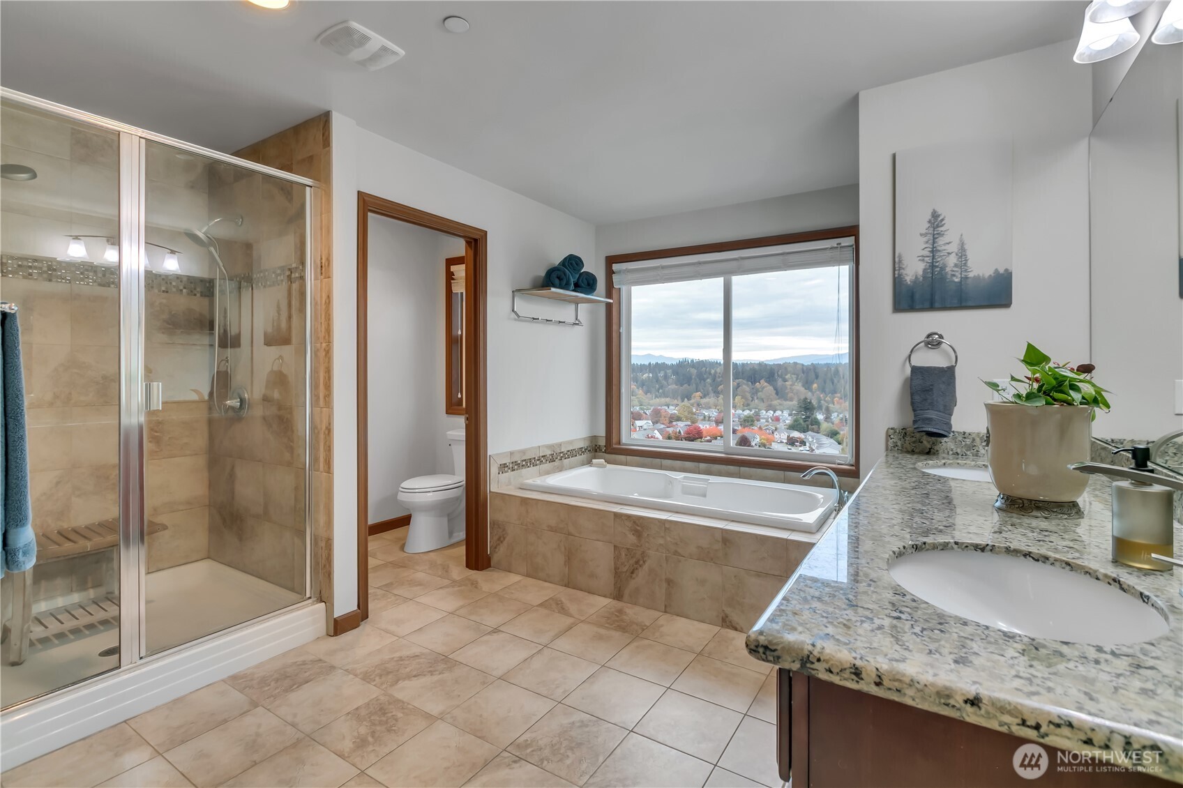 Sweeping Mt. Rainier Views | The Summit At Sky Island