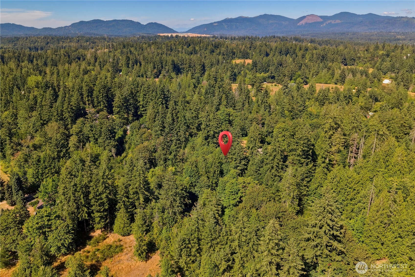 Fully Remodeled Renton Rambler
