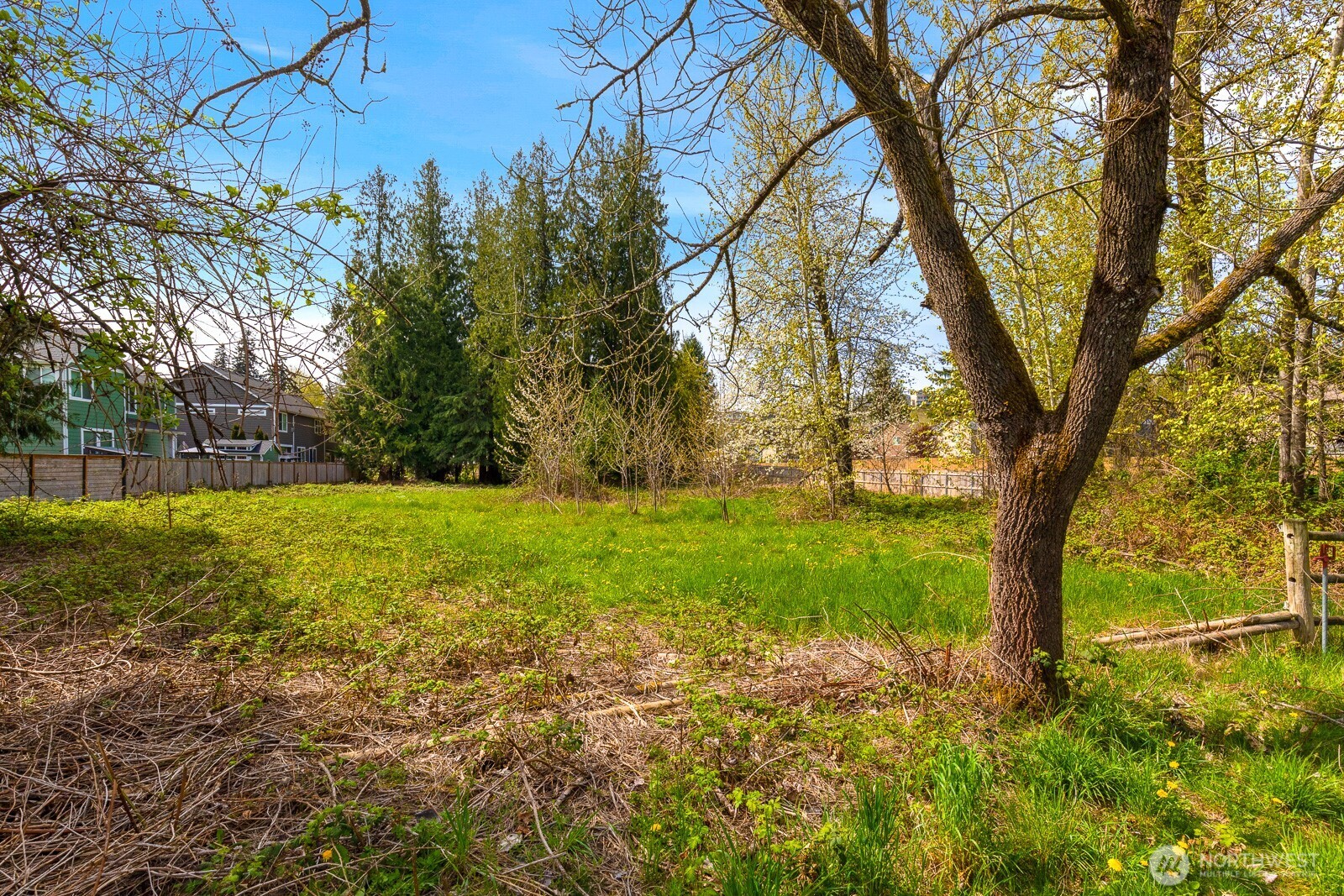 11122 Angeline Road E