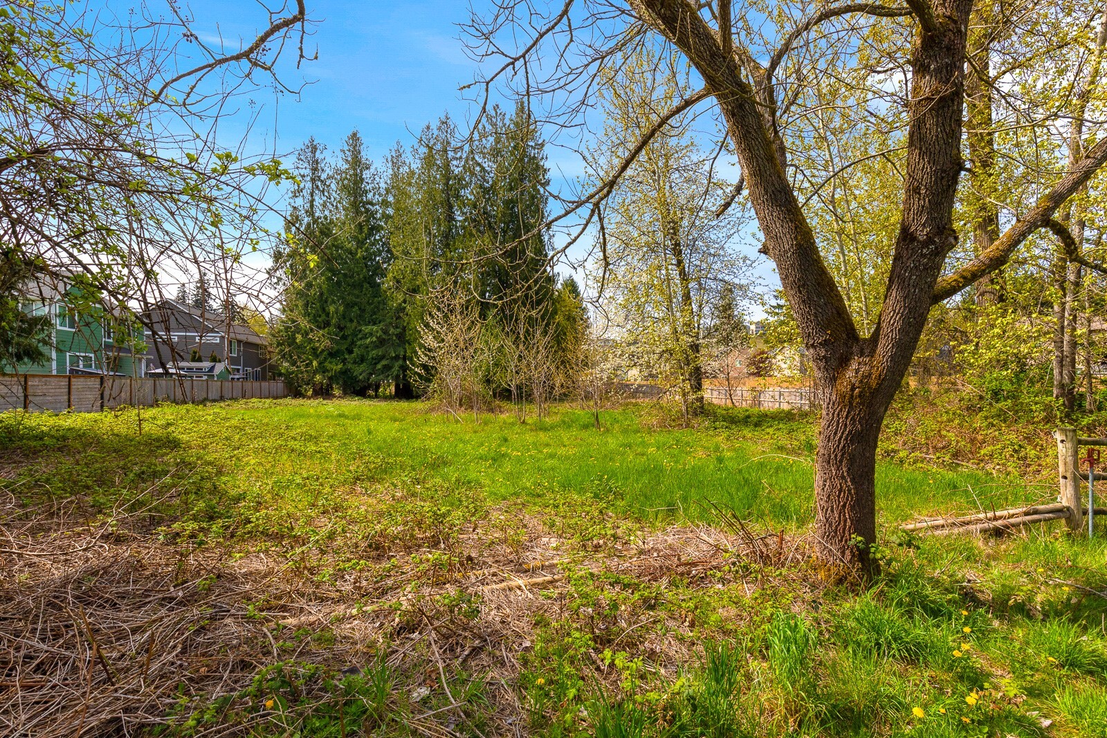 11122 Angeline Road E