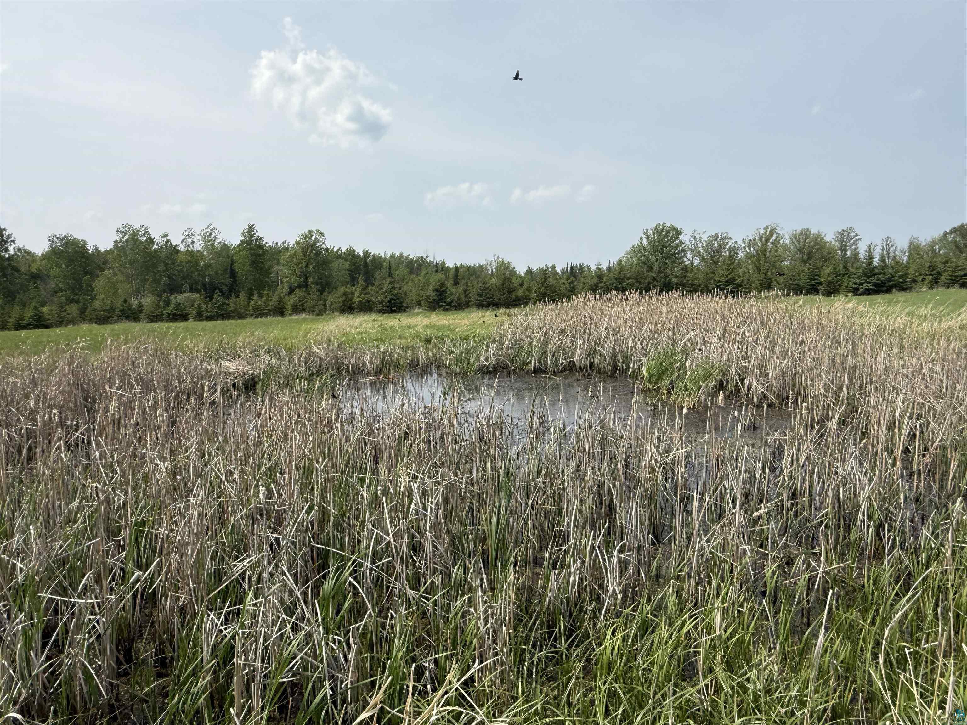 xxx Hautala Rd