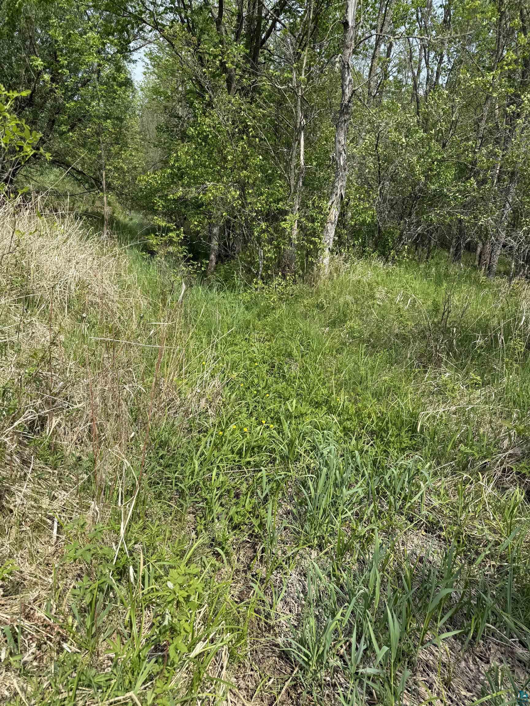 xxx Hautala Rd