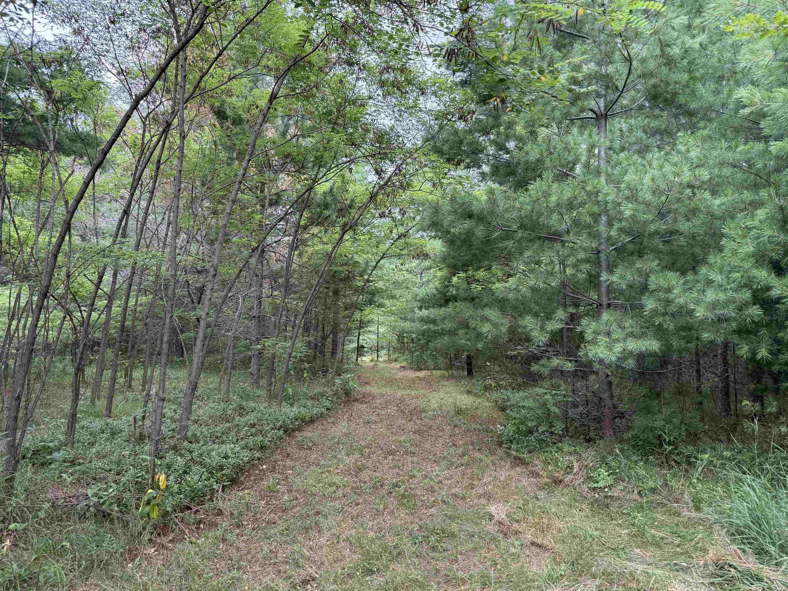 8355 Half Moon Lake Dr