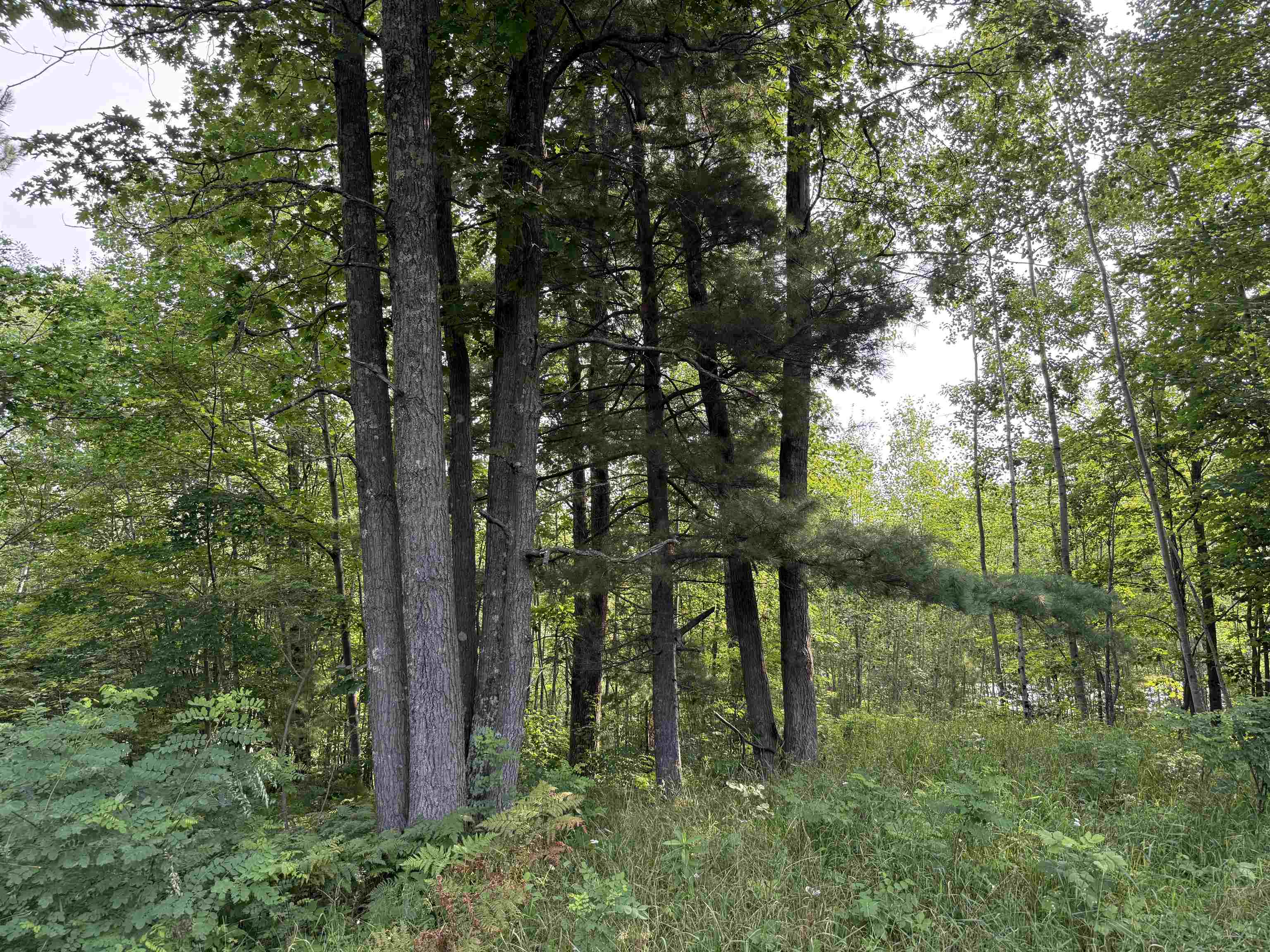 8355 Half Moon Lake Dr