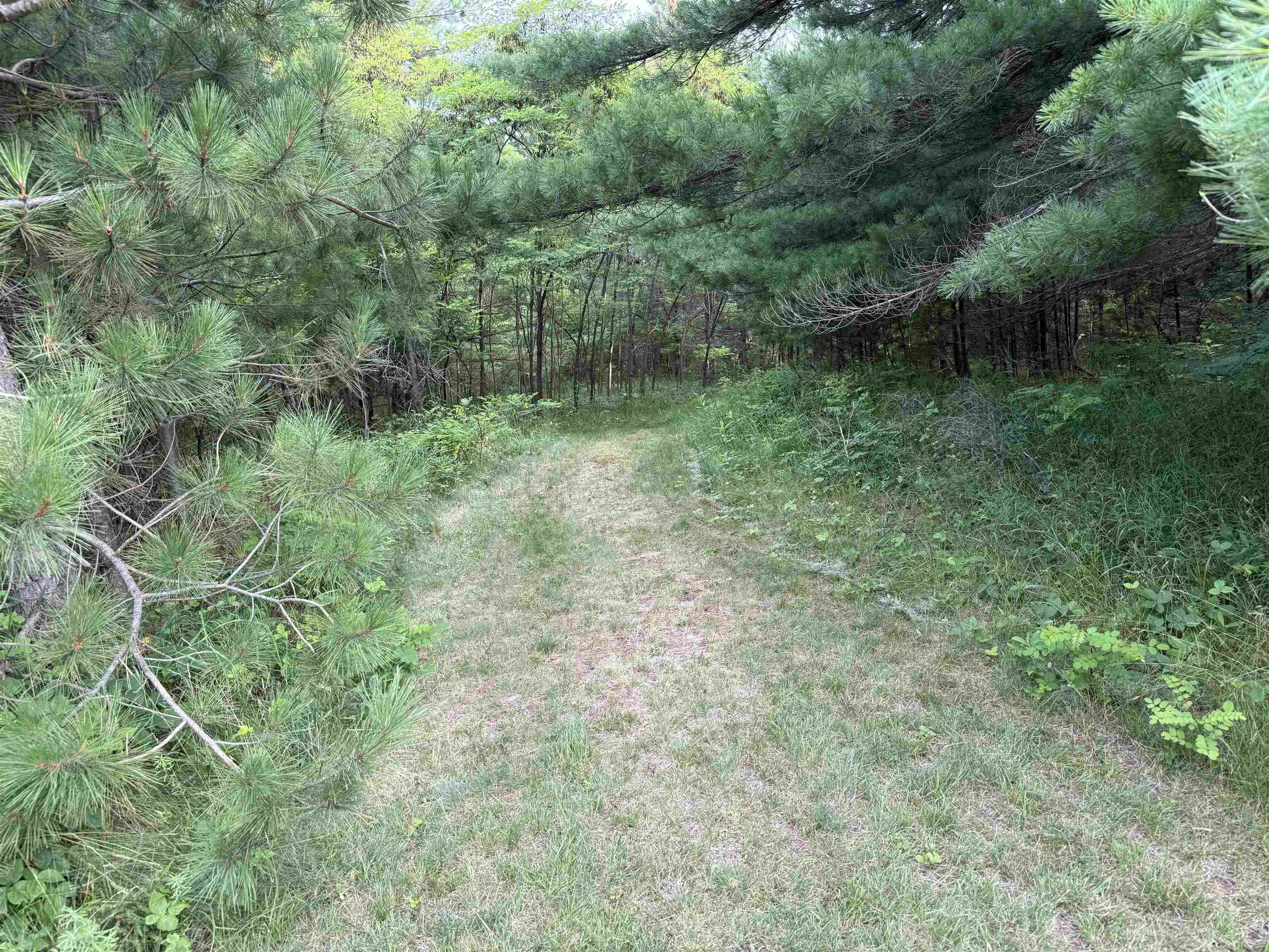 8355 Half Moon Lake Dr