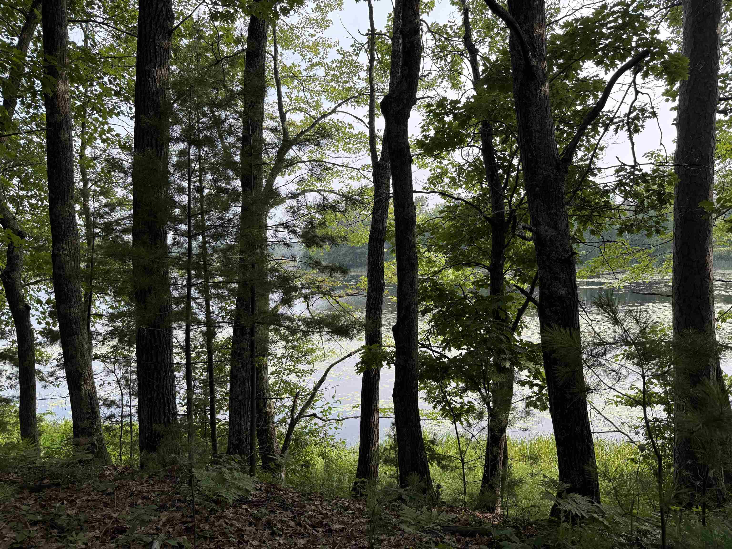 8355 Half Moon Lake Dr