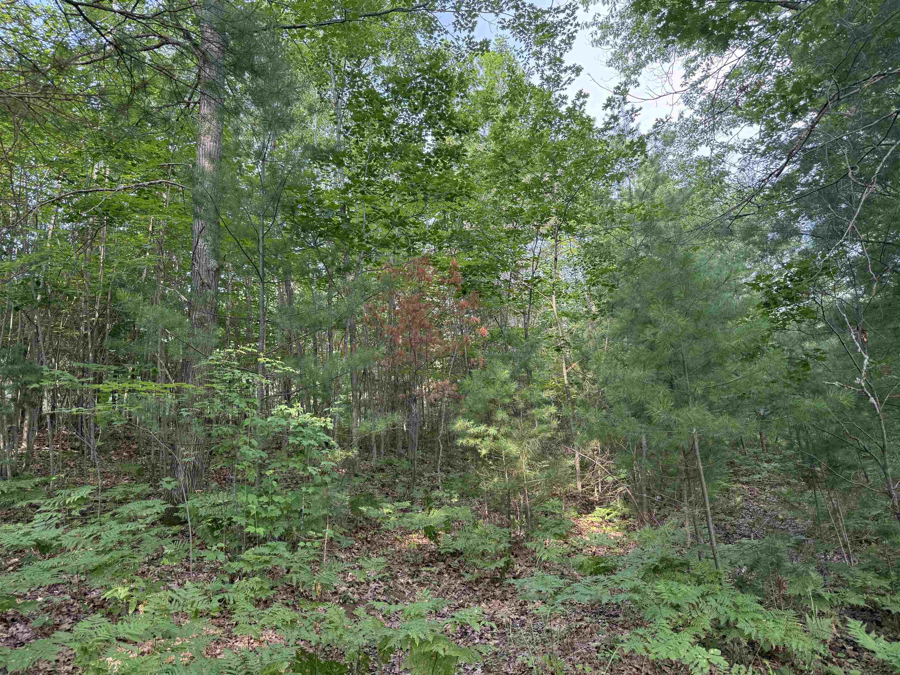 8355 Half Moon Lake Dr