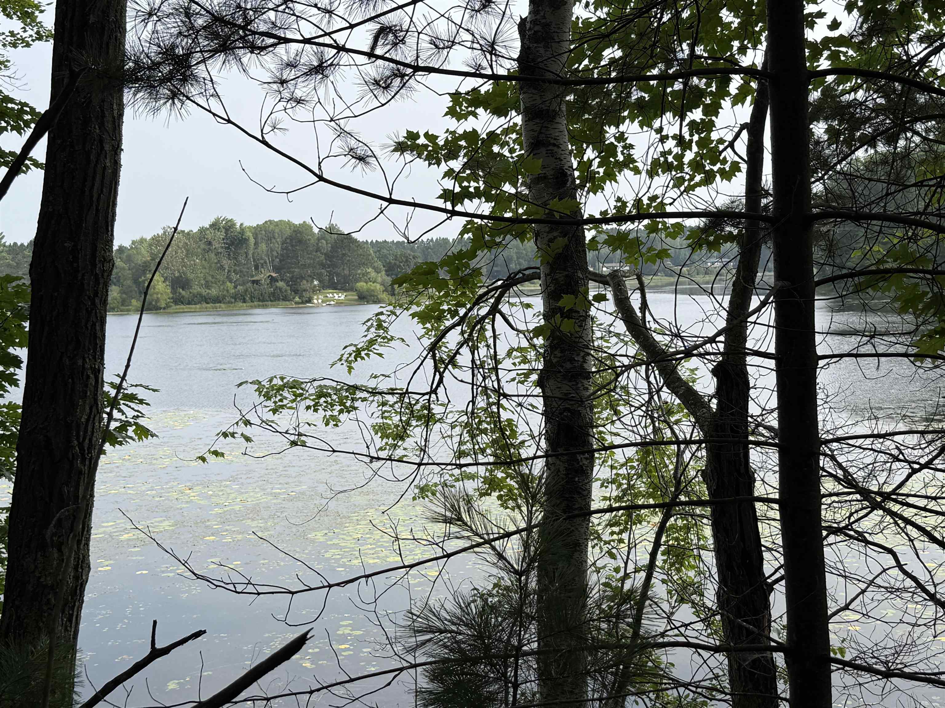 8355 Half Moon Lake Dr