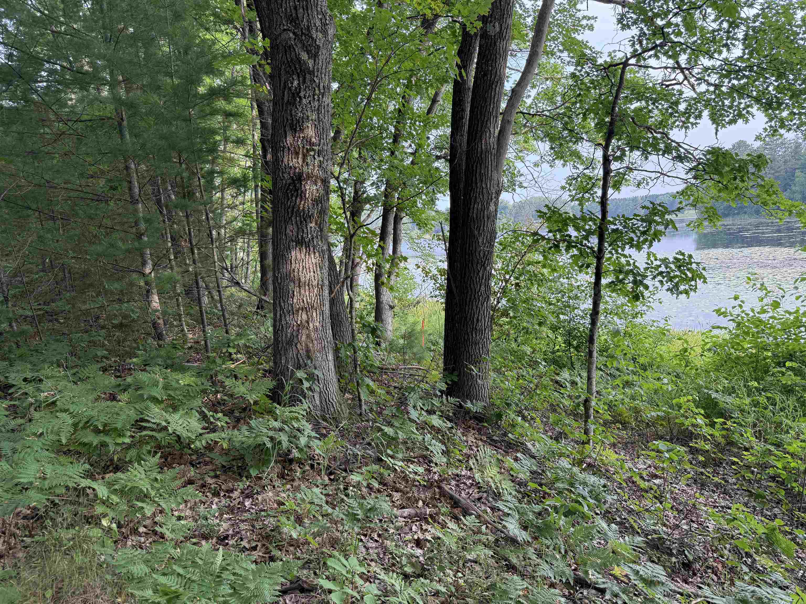 8355 Half Moon Lake Dr