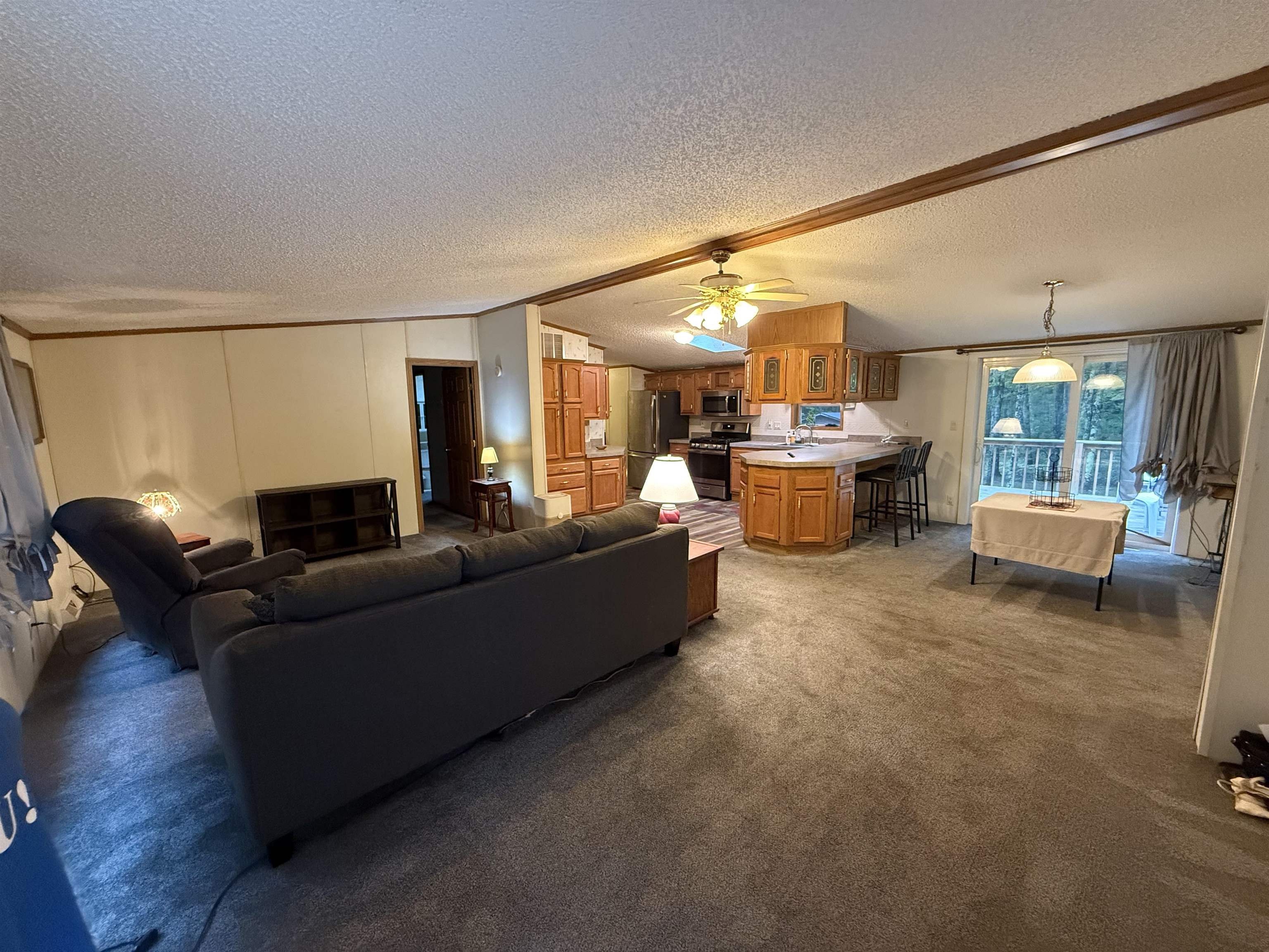 67745 W Spider Lake Rd