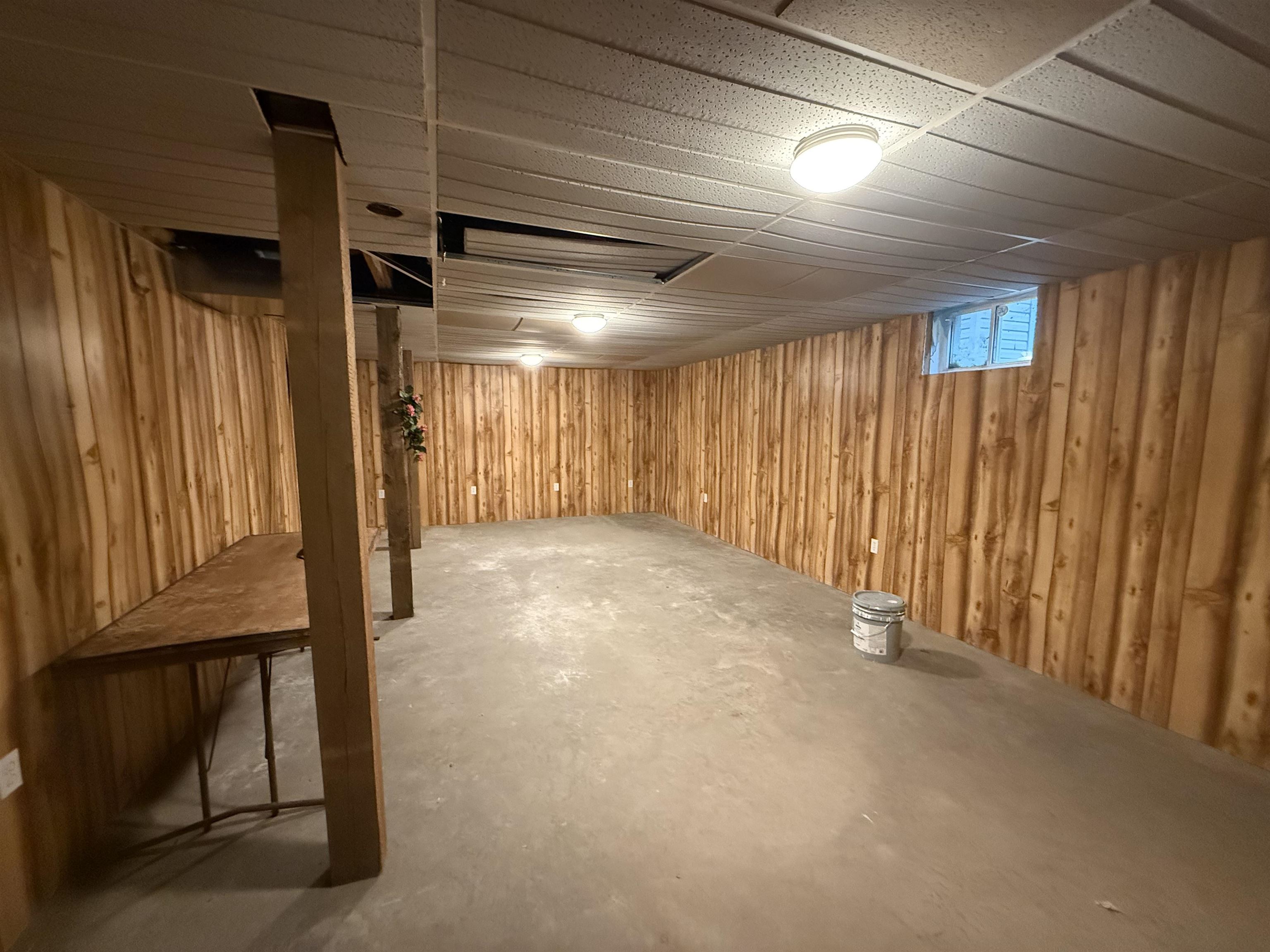 67745 W Spider Lake Rd