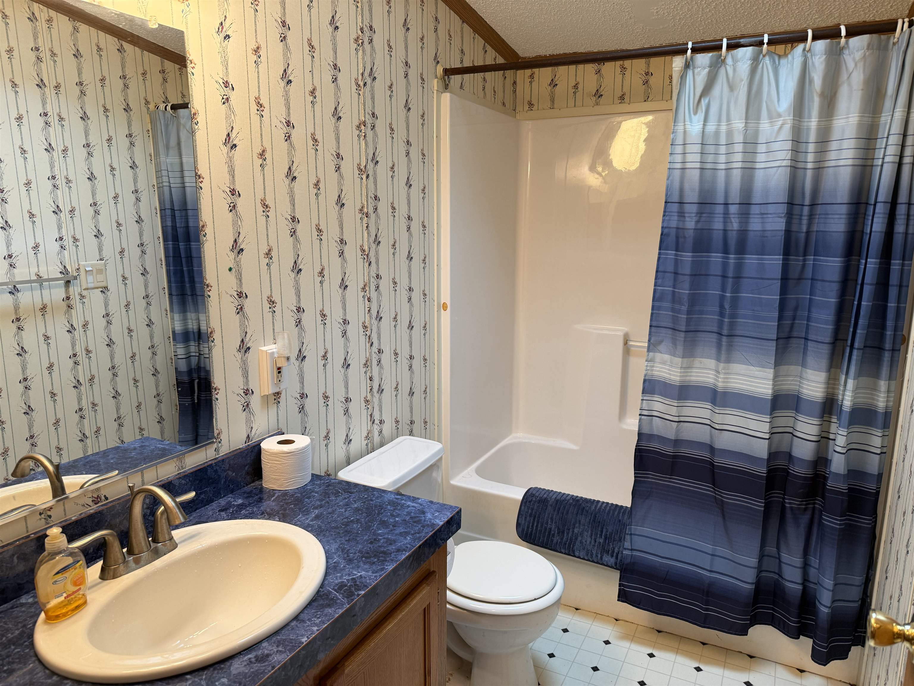 67745 W Spider Lake Rd