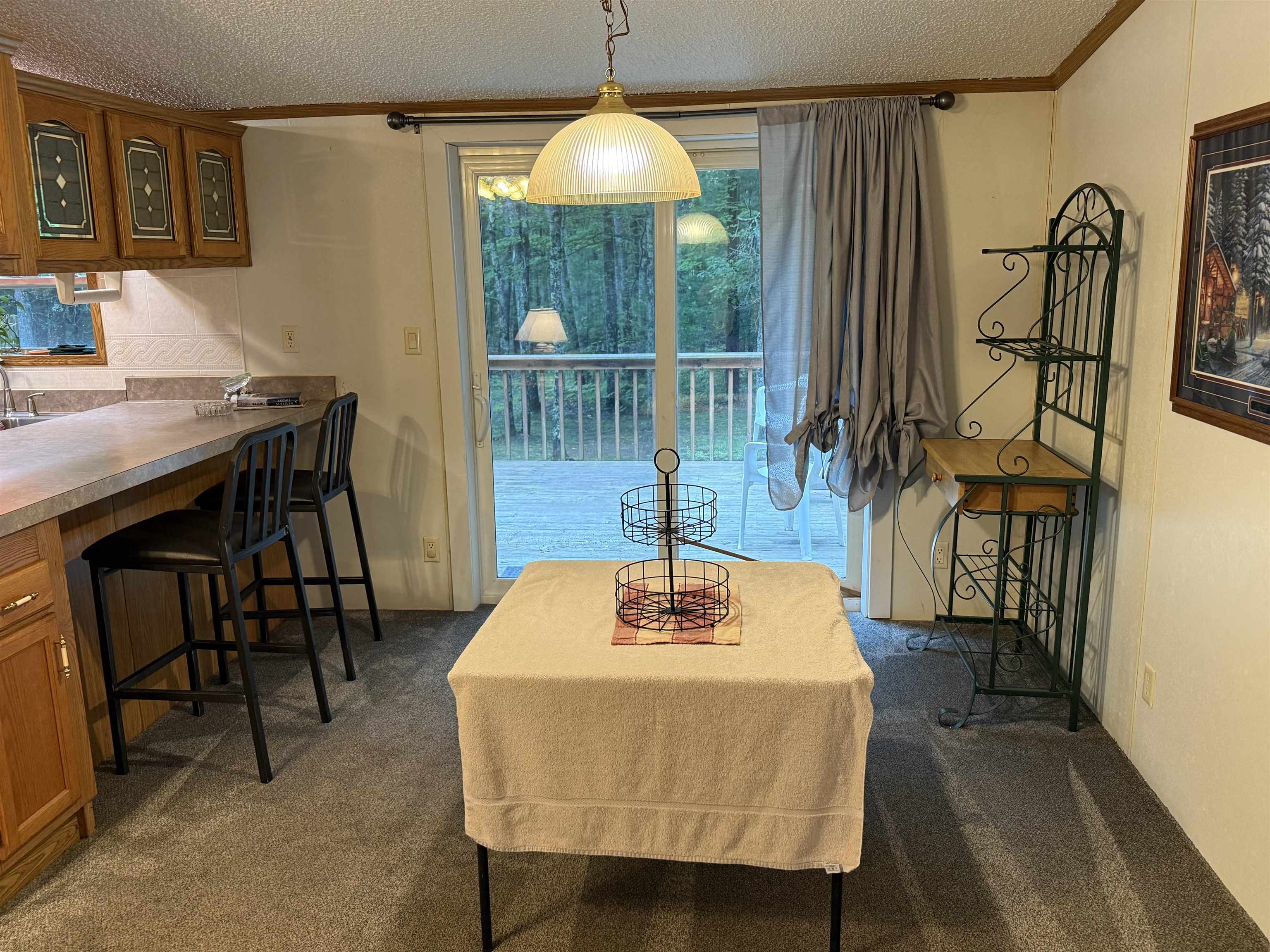 67745 W Spider Lake Rd