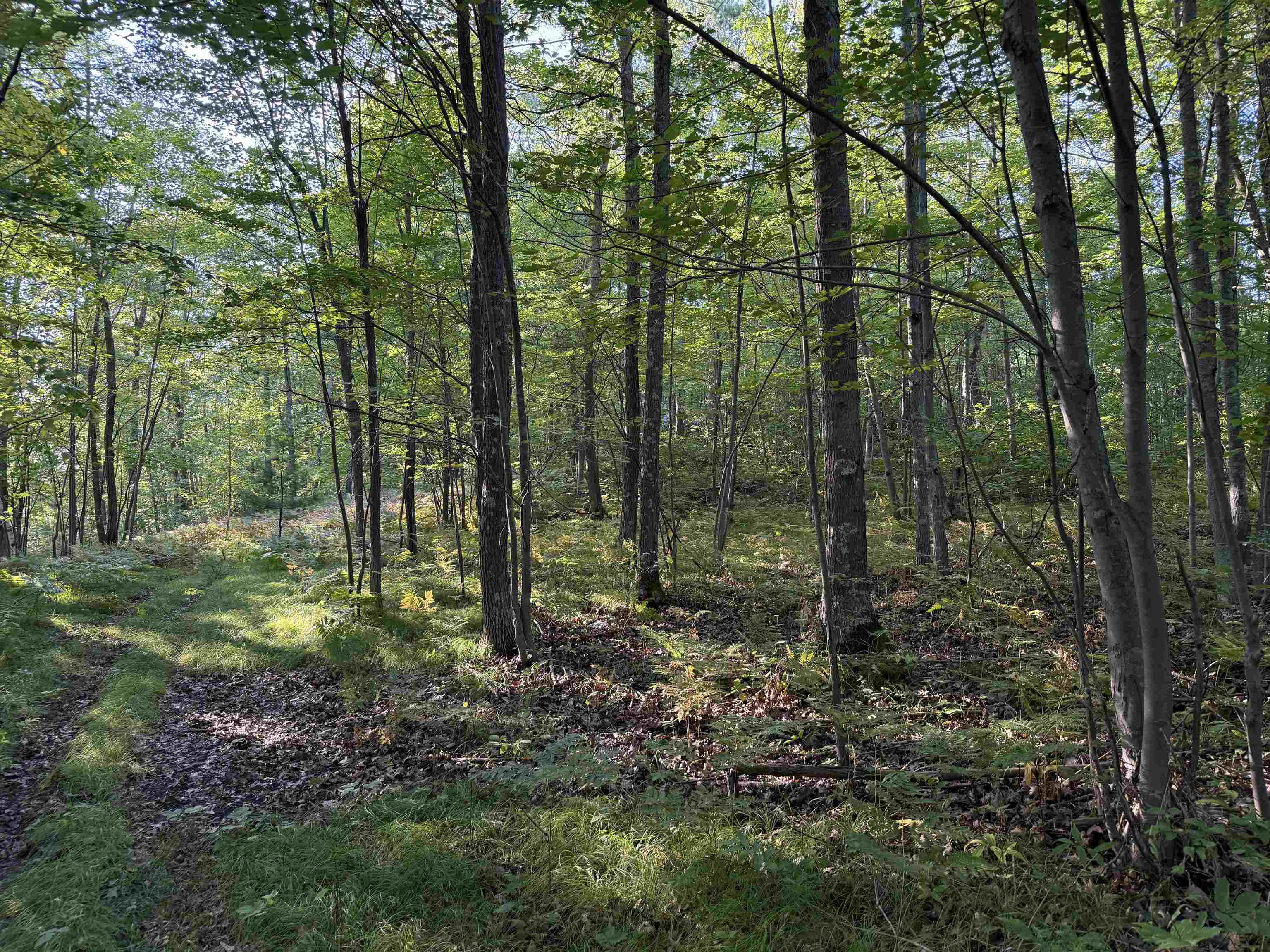66315 County Hwy H