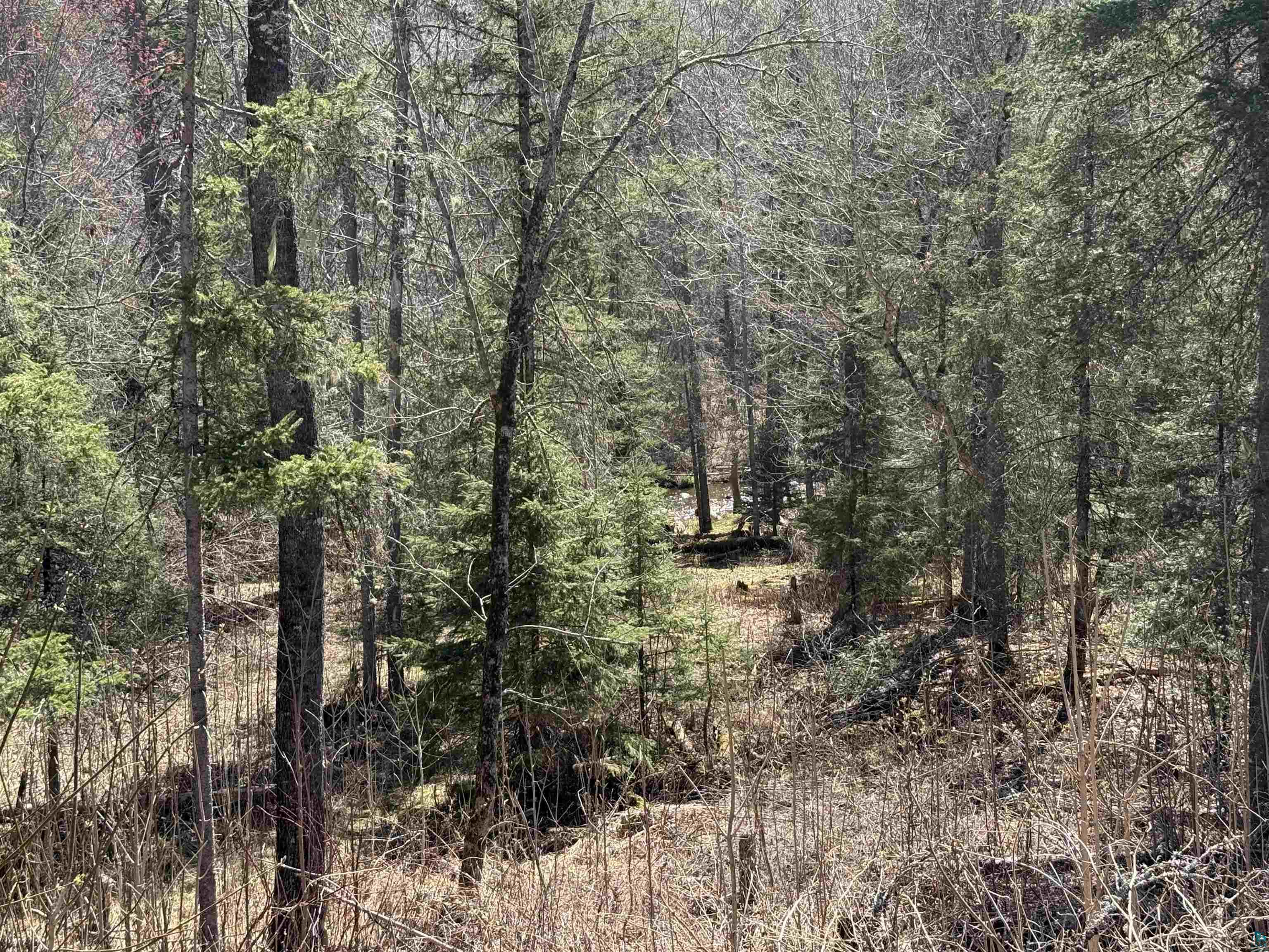 77410 Kaukamo Rd