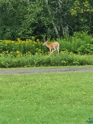 16095 County Highway M