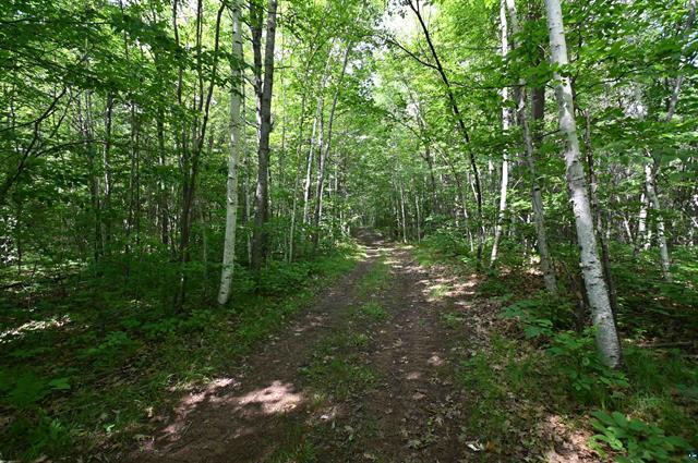 12207 E Railroad Road