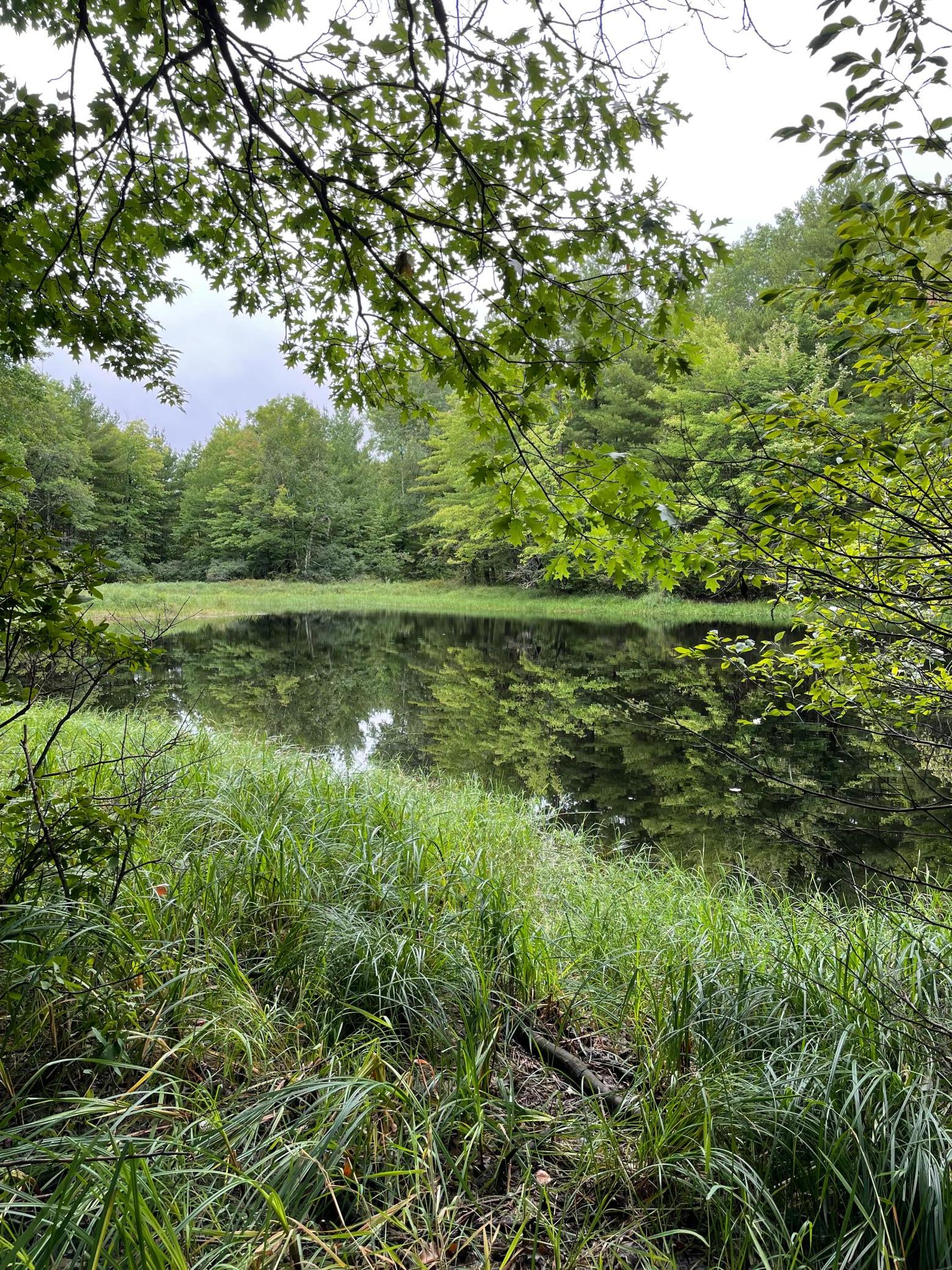 12207 E Railroad Road