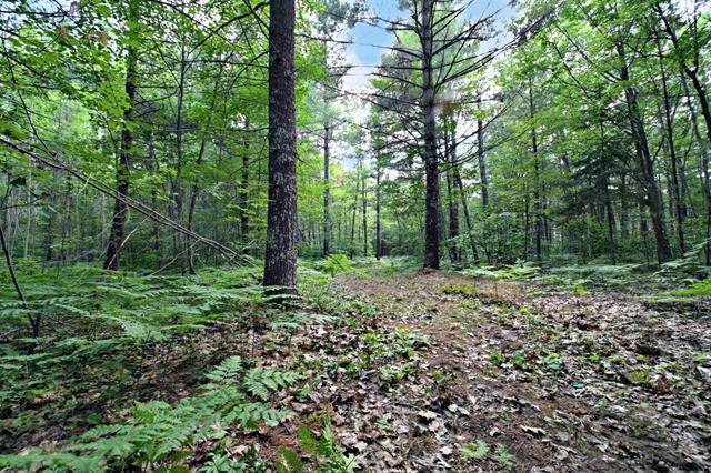 12207 E Railroad Road