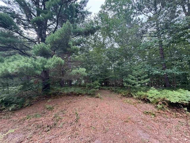 8355 Half Moon Lake Drive