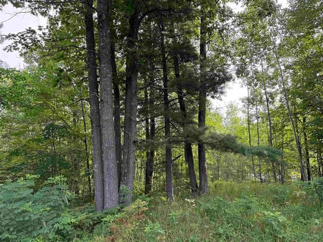 8355 Half Moon Lake Drive