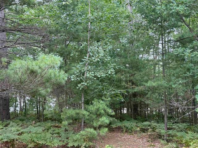 8355 Half Moon Lake Drive