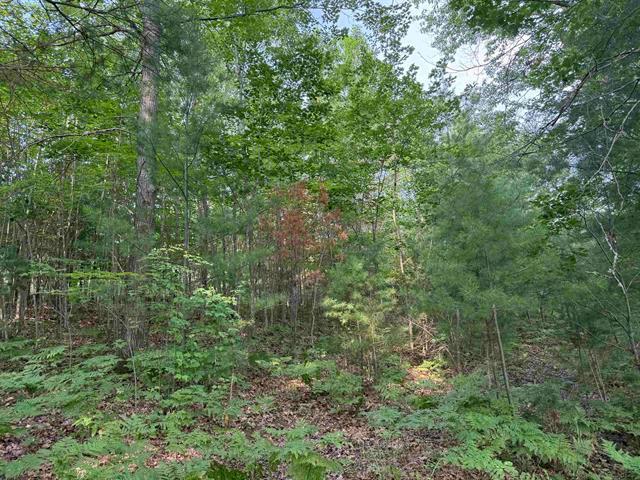 8355 Half Moon Lake Drive